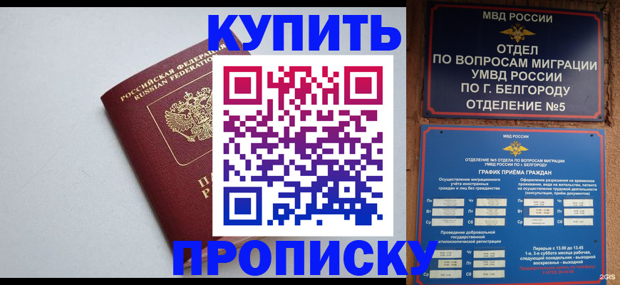 прописка регистрация в Смоленске